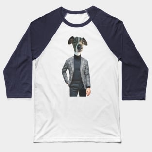 An grey Italian greyhound in a smart and dapper blue mens suit Baseball T-Shirt